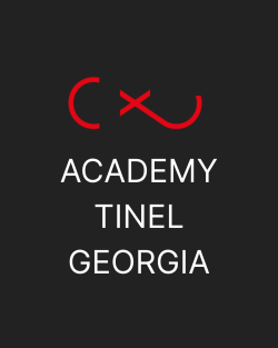 ACADEMY TINEL GEORGIA