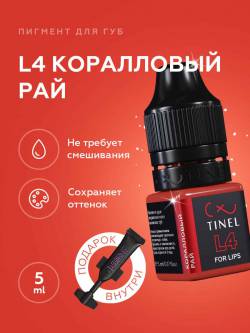 Tinel  - L4 "მარჯნის სამოთხე"